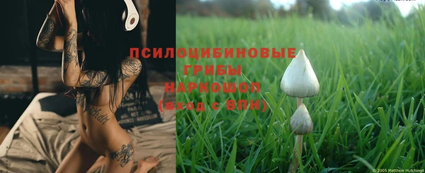 PSILOCYBIN Абдулино
